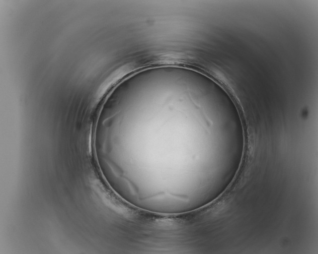 X0000112821227200908281523
