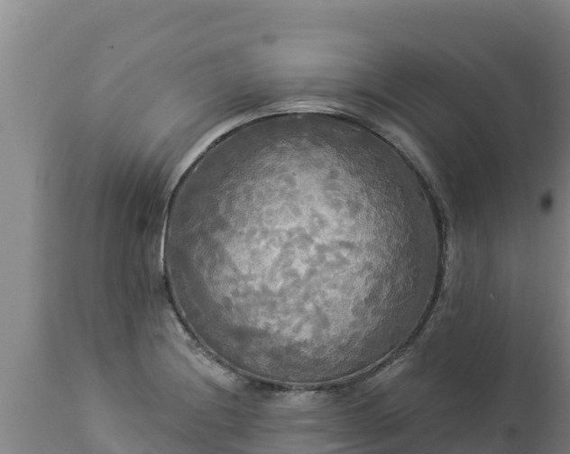 X0000112821228200908281523