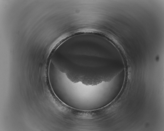 X0000112821229200908281523