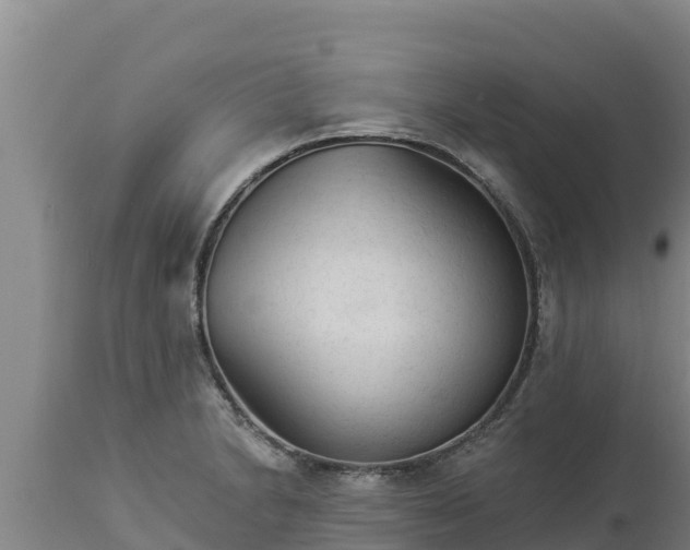 X0000112821230200908281523
