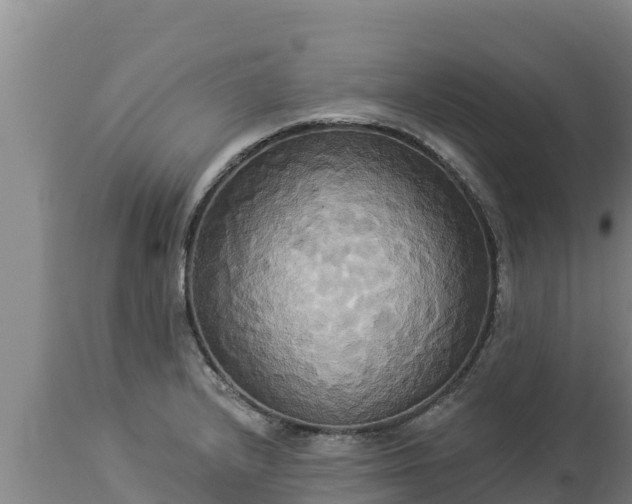 X0000112821232200908281523