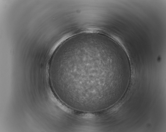 X0000112821235200908281523