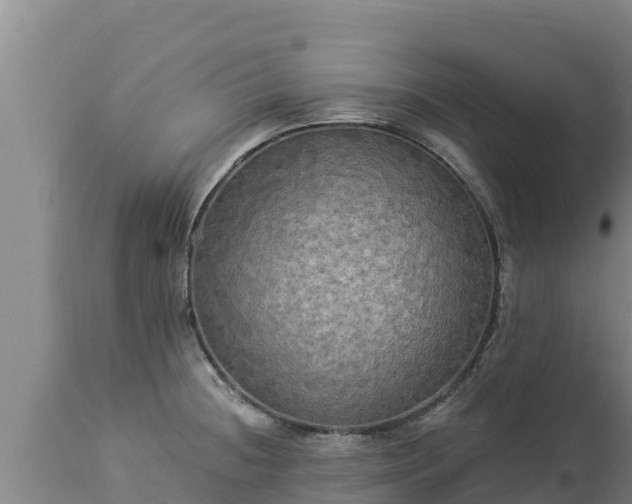 X0000112821236200908281523