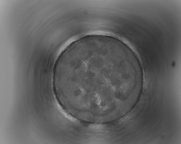 X0000112821237200908281523