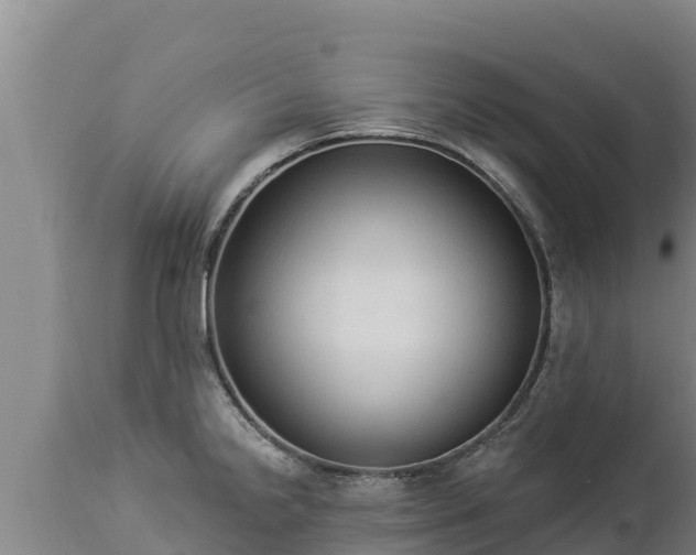 X0000112821238200908281523
