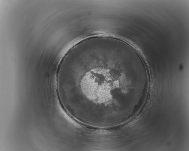 X0000112821239200908281523