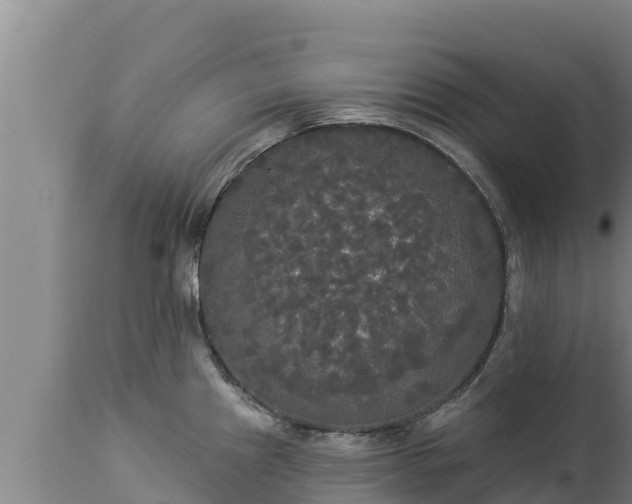 X0000112821241200908281523