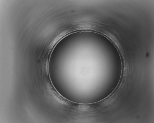 X0000112821242200908281523