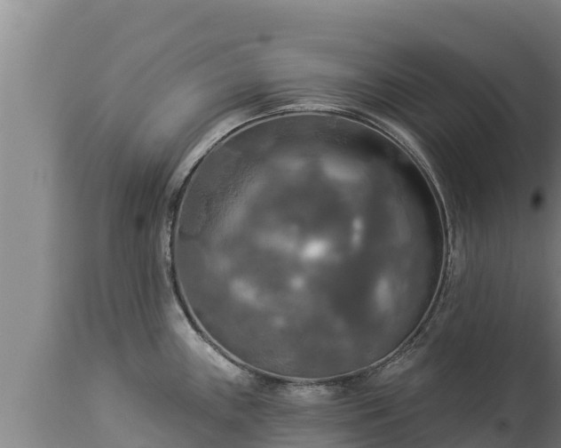 X0000112821243200908281523