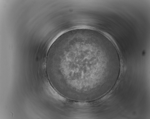 X0000112821244200908281523