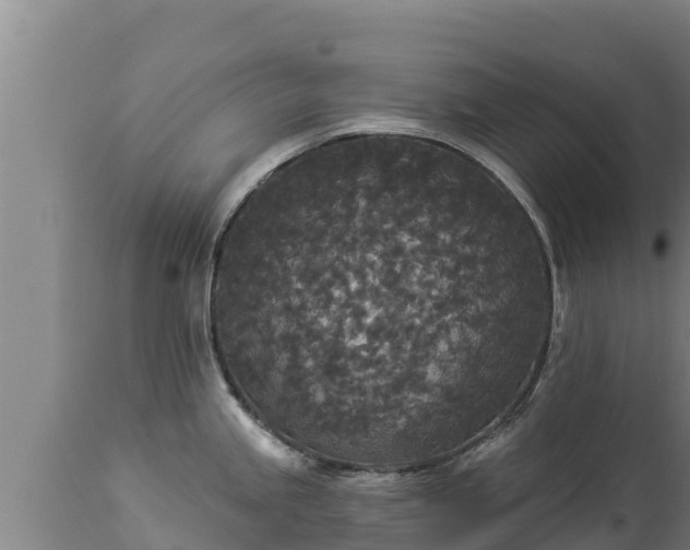 X0000112821245200908281523