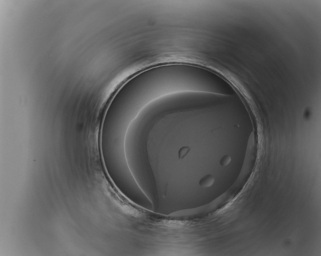 X0000112821246200908281523