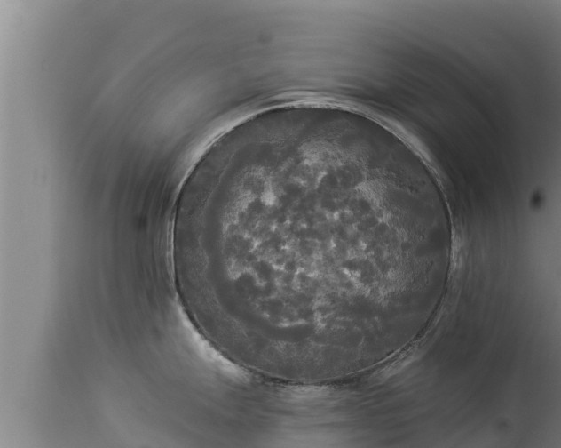 X0000112821247200908281523