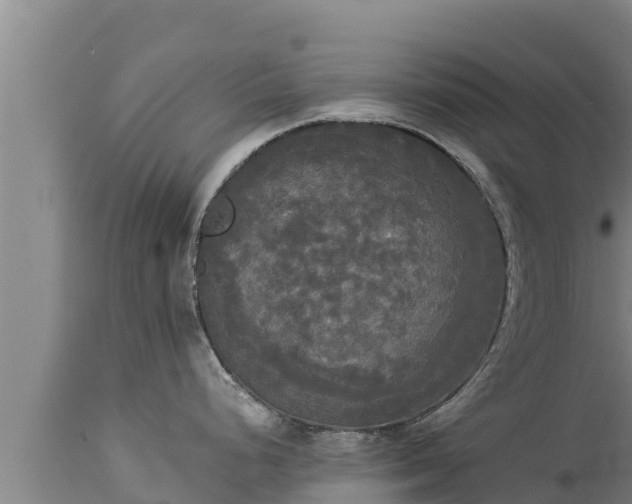 X0000112821248200908281523