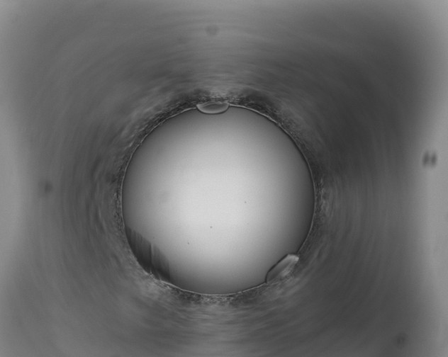 X0000112821249200908281523