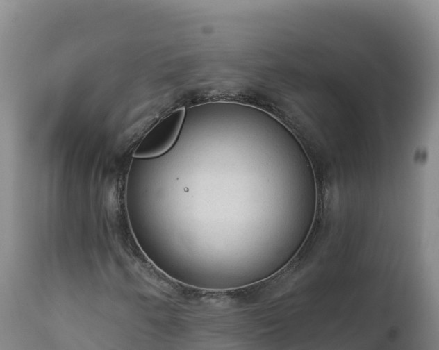 X0000112821250200908281523