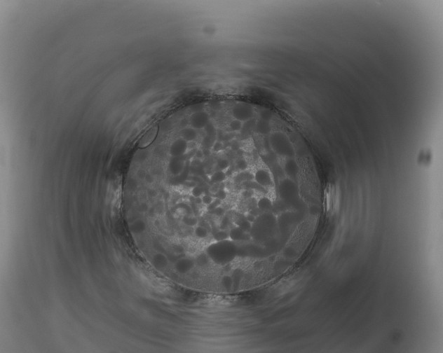 X0000112821251200908281523