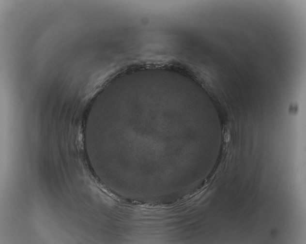 X0000112821252200908281523