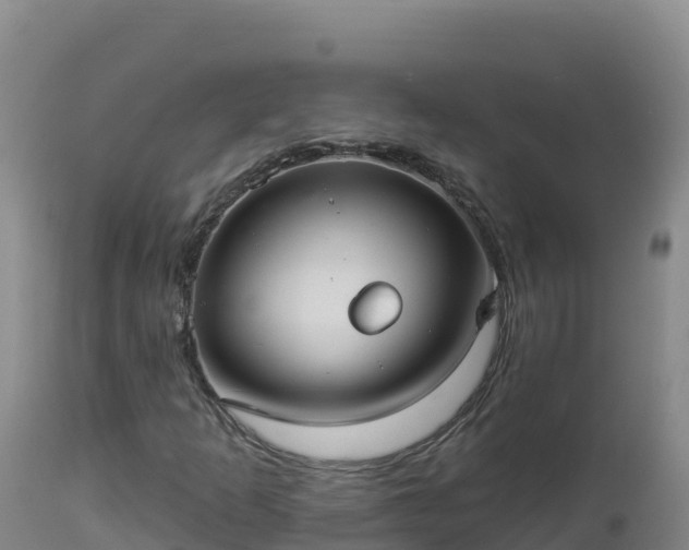X0000112821253200908281523
