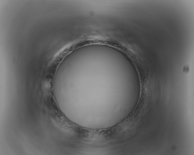 X0000112821254200908281523