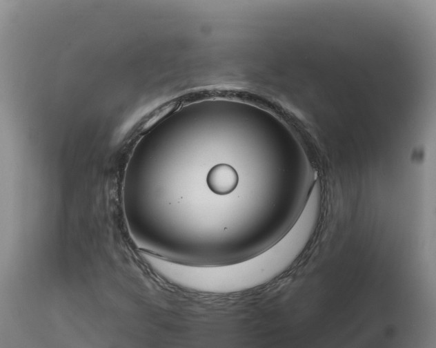 X0000112821255200908281523