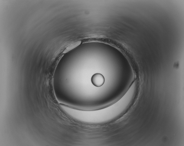 X0000112821257200908281523