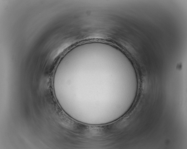 X0000112821258200908281523
