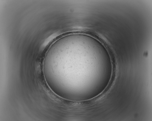 X0000112821259200908281523