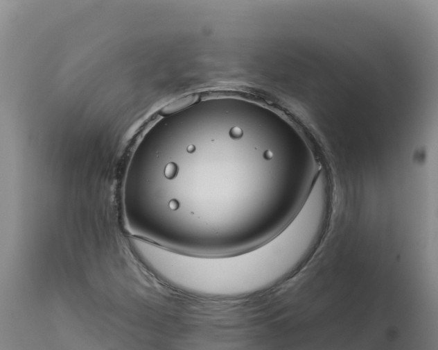 X0000112821260200908281523