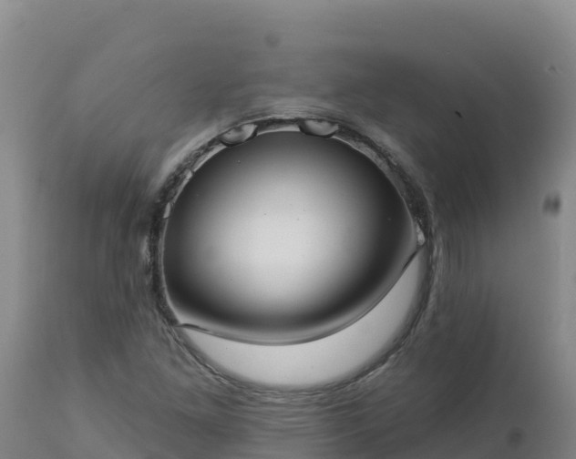 X0000112821261200908281523