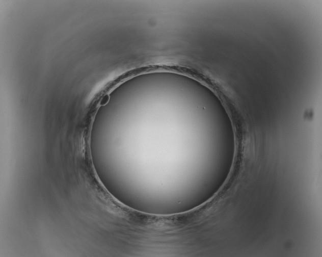 X0000112821262200908281523