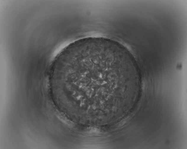 X0000112821263200908281523