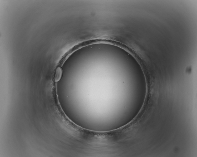 X0000112821264200908281523