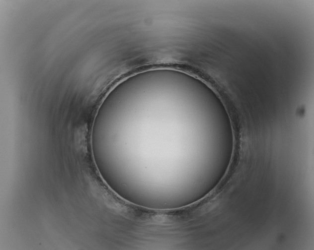 X0000112821265200908281523