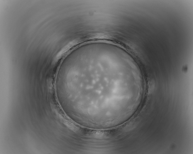 X0000112821266200908281523