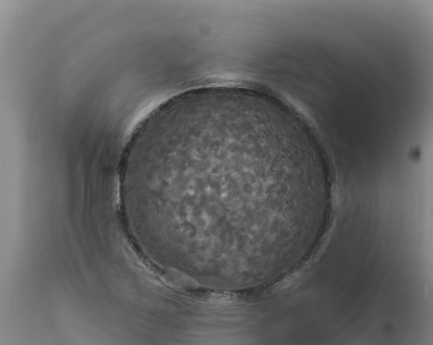 X0000112821267200908281522