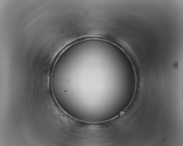 X0000112821268200908281522