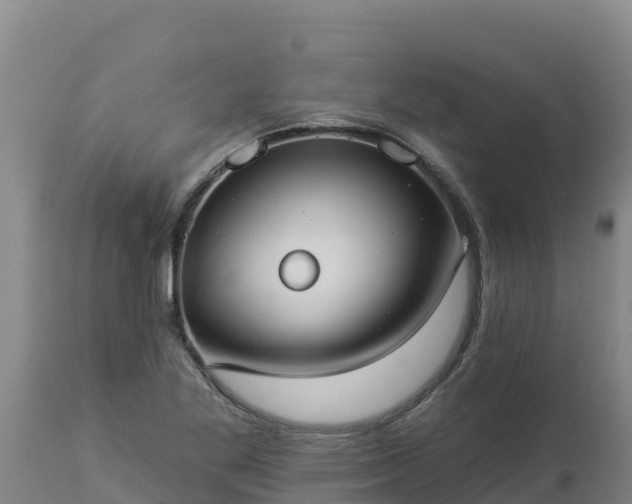 X0000112821269200908281522