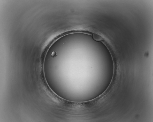 X0000112821270200908281522