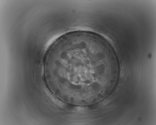 X0000112821271200908281522