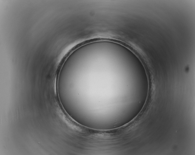 X0000112821272200908281522
