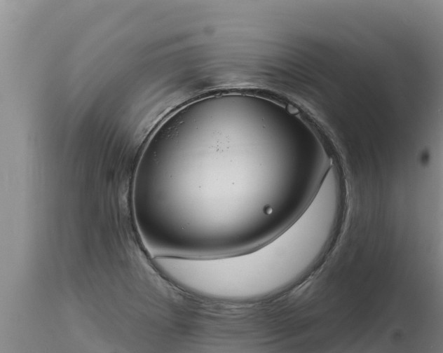X0000112821273200908281522