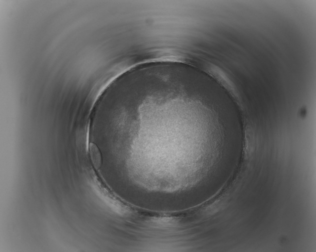X0000112821276200908281522