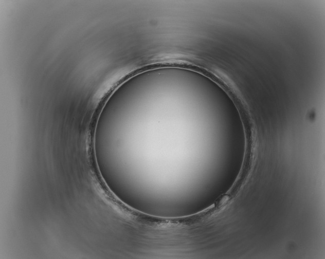X0000112821277200908281522