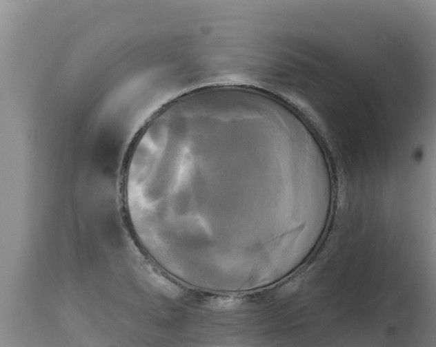 X0000112821278200908281522