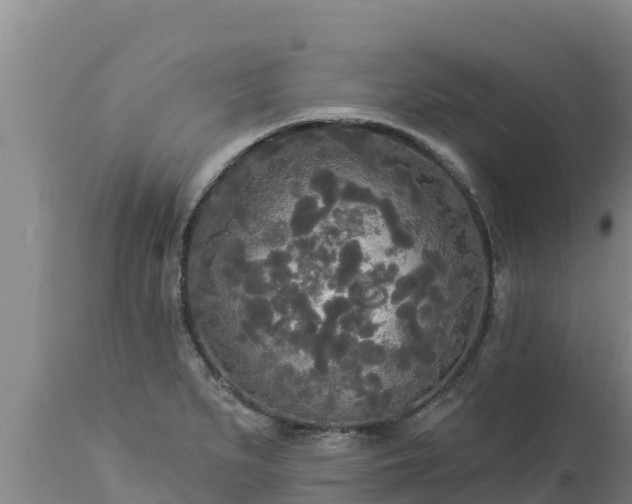 X0000112821279200908281522