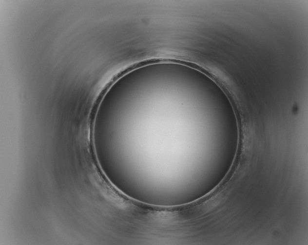 X0000112821280200908281522