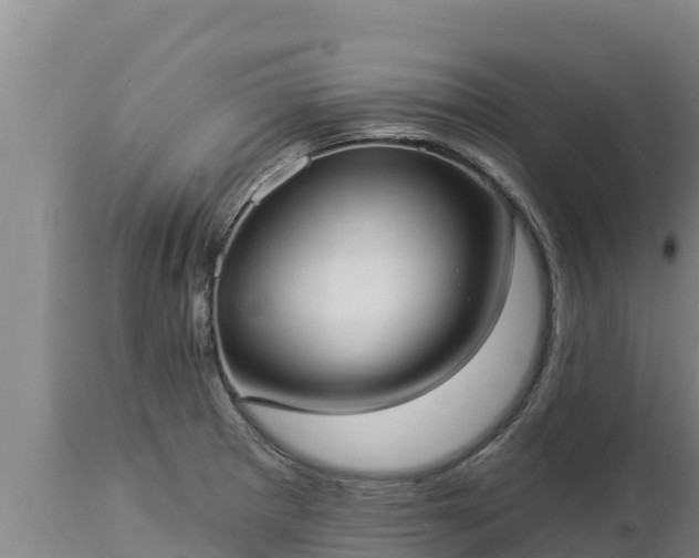 X0000112821281200908281522
