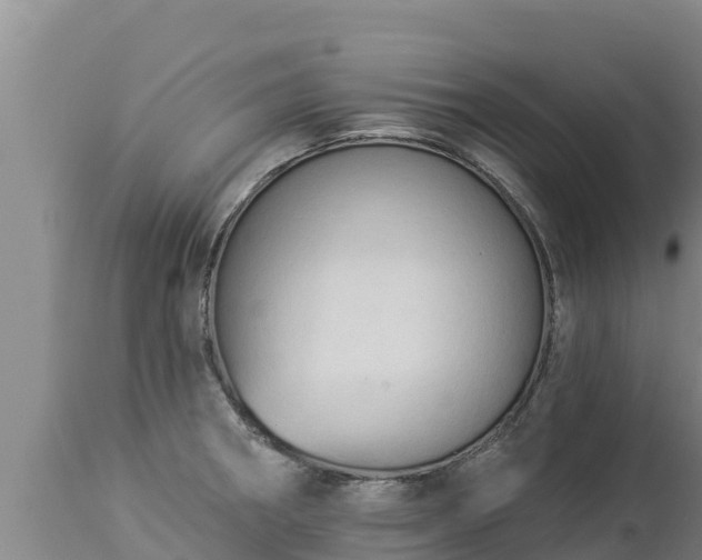 X0000112821282200908281522