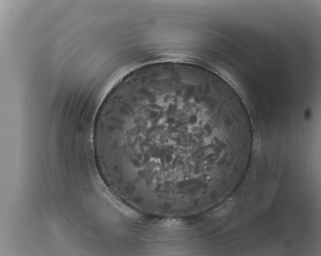 X0000112821283200908281522